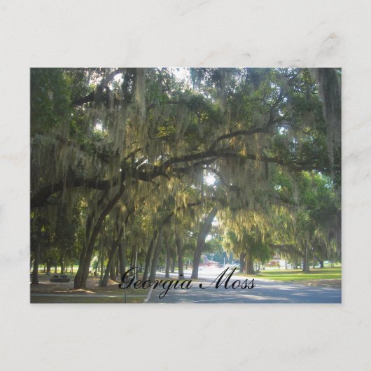 Georgia Moss Briefkaart (Voorkant)