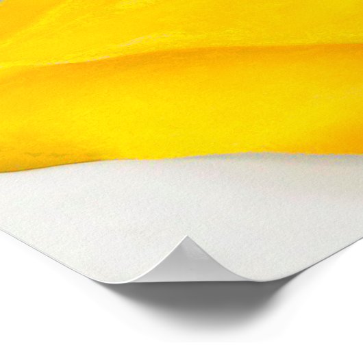 georgia o ' keeffe art poster (Hoek)