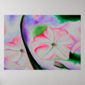 georgia o ' keeffe poster (Voorkant)