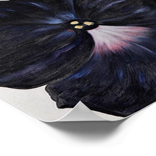 Georgia O'Keefe 1925 Black en Paarse Petunias Poster (Hoek)