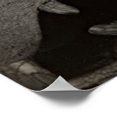 Georgia O'Keeffe Handen & Paardenschedel - Moderne Poster (Hoek)