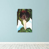 Georgia O'Keeffe - Jack-in-the-Pulpit III Canvas Afdruk (Insitu (Houten vloer))