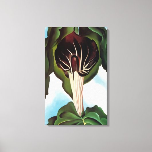 Georgia O'Keeffe - Jack-in-the-Pulpit III Canvas Afdruk (Voorkant)