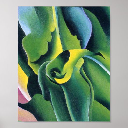 georgia okeeffe poster (Voorkant)