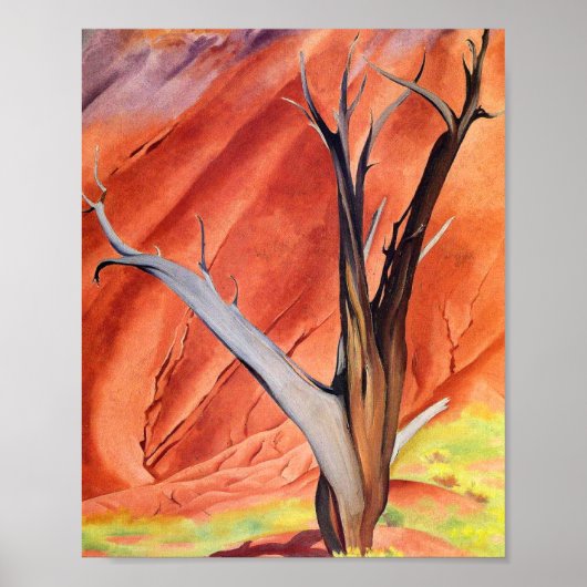 georgia okeeffe poster (Voorkant)