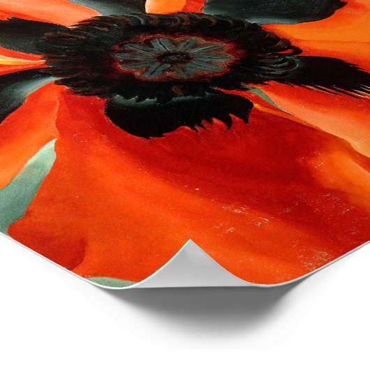 georgia okeeffe poster (Hoek)