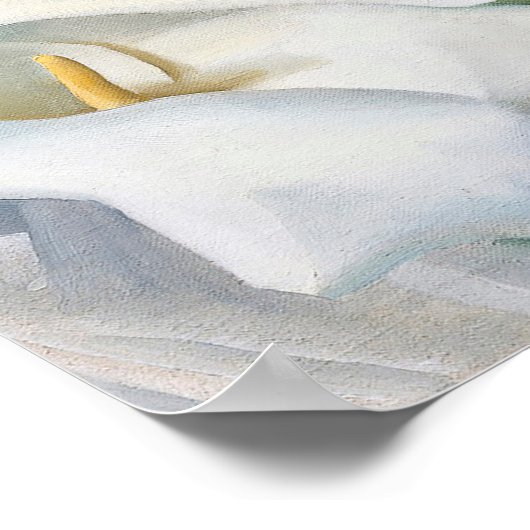 georgia okeeffe poster (Hoek)