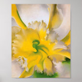 georgia okeeffe poster (Voorkant)