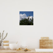 Georgia Peach Tree Fluffy White Clouds Poster (Keuken)