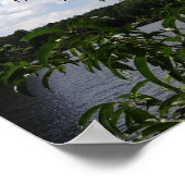 Georgia Peach Tree Fluffy White Clouds Poster (Hoek)