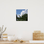 Georgia Peach Tree Fluffy White Clouds Poster (Keuken)