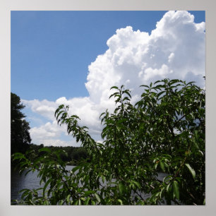 Georgia Peach Tree Fluffy White Clouds Poster