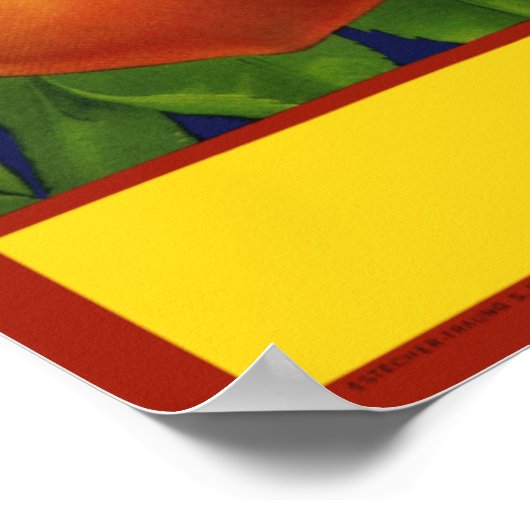 Georgia Peaches Poster (Hoek)