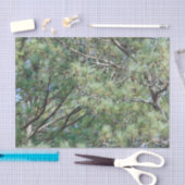 Georgia Pine Tree Branches 074 Tissuepapier (Craft)