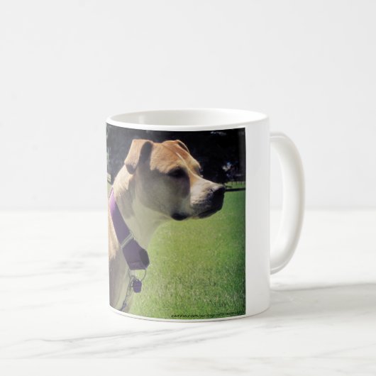 Georgia Pit Bull Mok (Voorkant rechts)