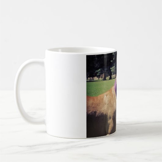 Georgia Pit Bull Mok (Links)