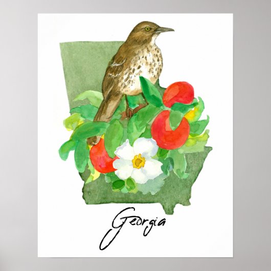 Georgia Staatsvorm Vogel Brown Thrasher Poster (Voorkant)