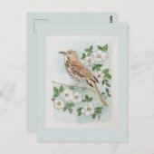 Georgia state bird and flower  briefkaart (Voorkant / Achterkant)