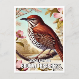 Georgia State Bird Brown Thrasher Briefkaart