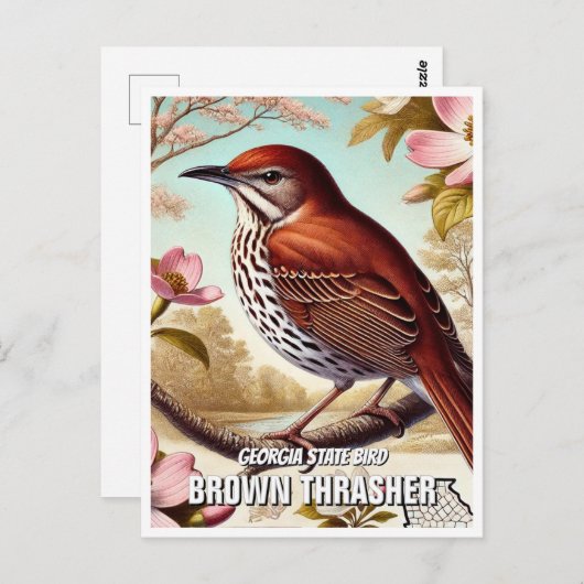 Georgia State Bird Brown Thrasher Briefkaart (Voorkant / Achterkant)