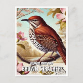 Georgia State Bird Brown Thrasher Briefkaart (Voorkant)
