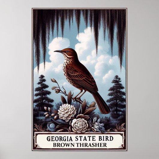 Georgia State Bird - Bruine Thrasher Vintage Poster (Voorkant)