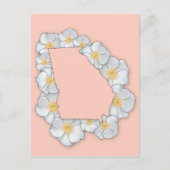 Georgia State Flower - Cherokee Roos Briefkaart (Voorkant)