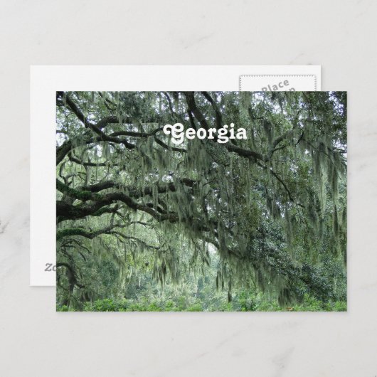 Georgia Trees Briefkaart (Voorkant / Achterkant)