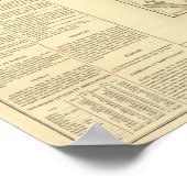 Georgia US Poster (Hoek)