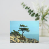 Georgian Bay Shoreline, Lake Huron, Ontario, Canad Briefkaart (Staand voorkant)