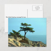 Georgian Bay Shoreline, Lake Huron, Ontario, Canad Briefkaart (Voorkant / Achterkant)