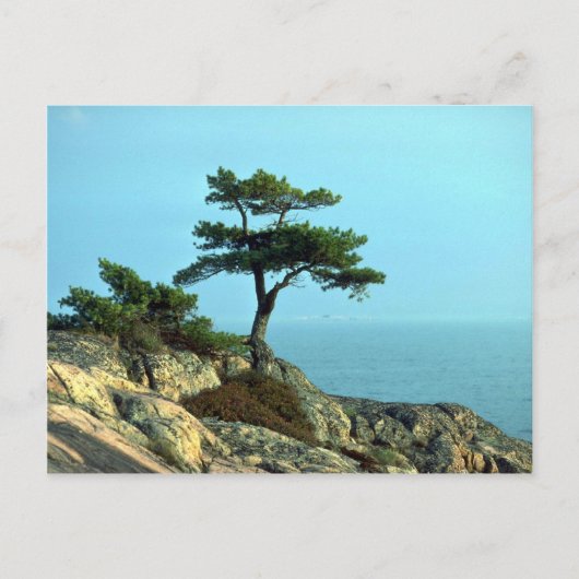 Georgian Bay Shoreline, Lake Huron, Ontario, Canad Briefkaart (Voorkant)