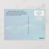 GEORGIË AQUARIUM, ATLANTA, GEORGIË BRIEFKAART (Achterkant)