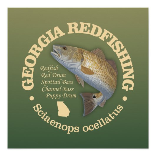 Georgië (roodbaars) perfect poster (Voorkant)