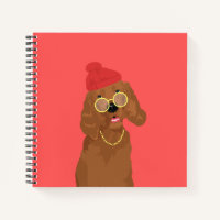 Georgie The Rapper Irish Setter Dog