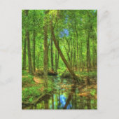 Georgisch landschap briefkaart (Voorkant)