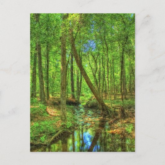 Georgisch landschap briefkaart (Voorkant)