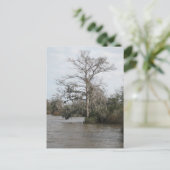 Georgische moeras briefkaart (Staand voorkant)