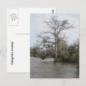 Georgische moeras briefkaart (Voorkant / Achterkant)