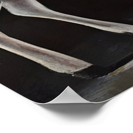 Georgische schilder Niko Pirosmani schilderijen Poster (Hoek)