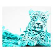 Georgous Leopard in Turquoise Foto Afdruk (Voorkant)
