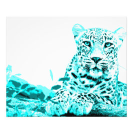 Georgous Leopard in Turquoise Foto Afdruk