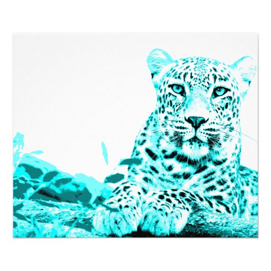 Georgous Leopard in Turquoise Foto Afdruk (Voorkant)