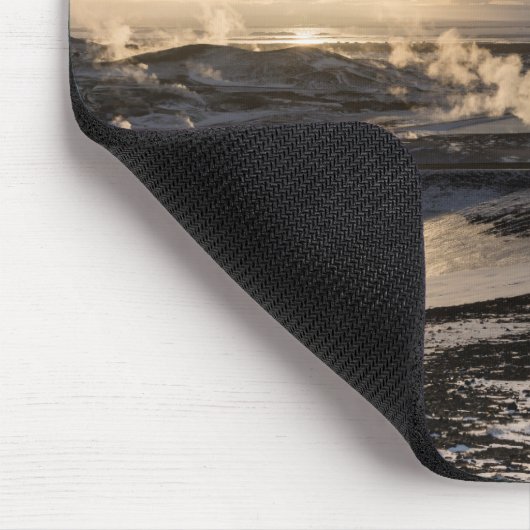 Geothermisch winterlandschap muismat (Hoek)