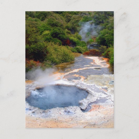 Geothermische activiteit nabij Rotorua, Nieuw-Zeel Briefkaart (Voorkant)