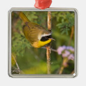 Geothlypis trichas) mannen, metalen ornament (Voorkant)