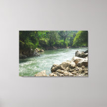 Geotoerisme Jungle Rivier Landschap Reis Foto