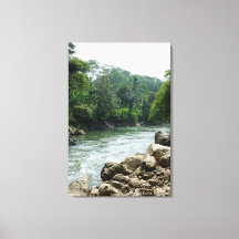 Geotoerisme Jungle Rivier Landschap Reis Foto