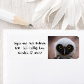 Gepantserde boomkorren etiket (Insitu)