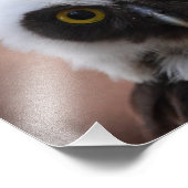 Gepantserde boomkorren foto afdruk (Hoek)